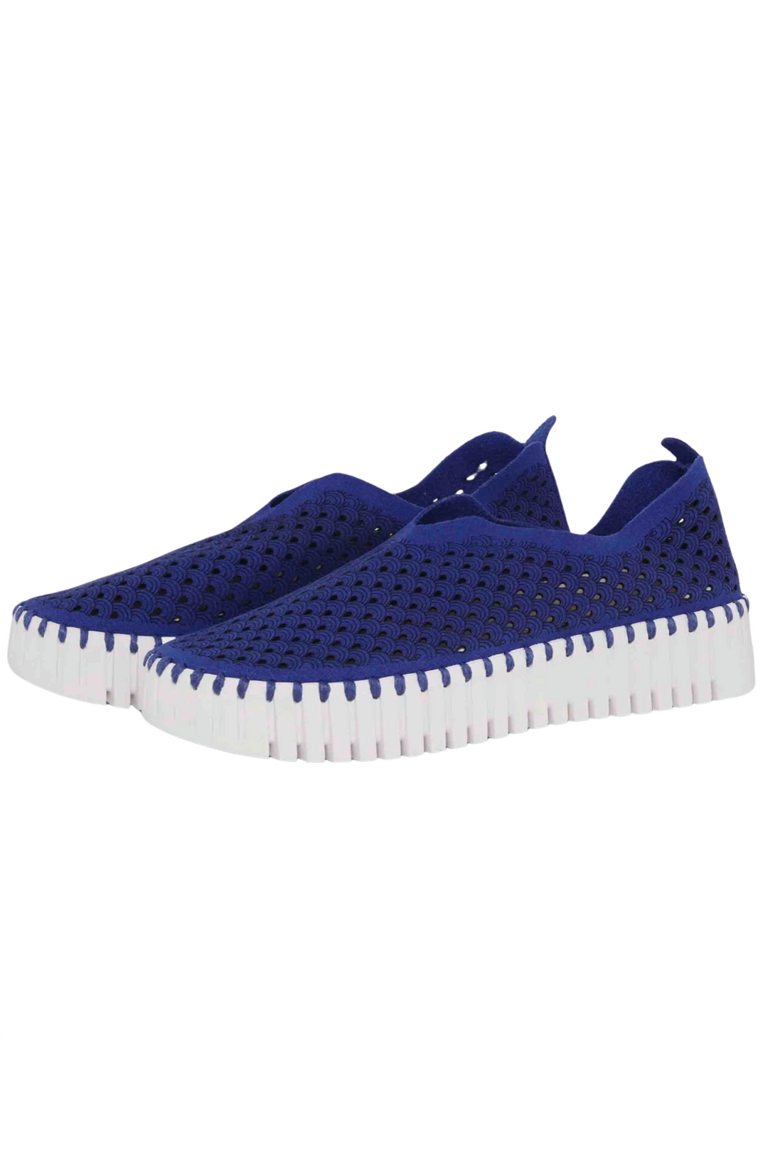 Tulip 3373 Blue Web Platform Shoe by Ilse Jacobsen