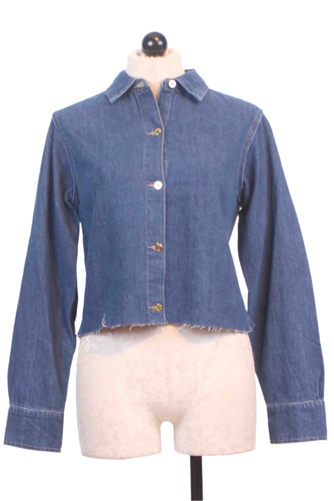 Cropped Montauk Long Sleeve Denim Shirt by DL1961