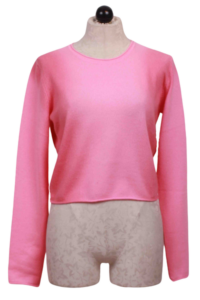 Lollipop and Camellia Rose Hailey Gradient Crew Neck Sweater by Crush