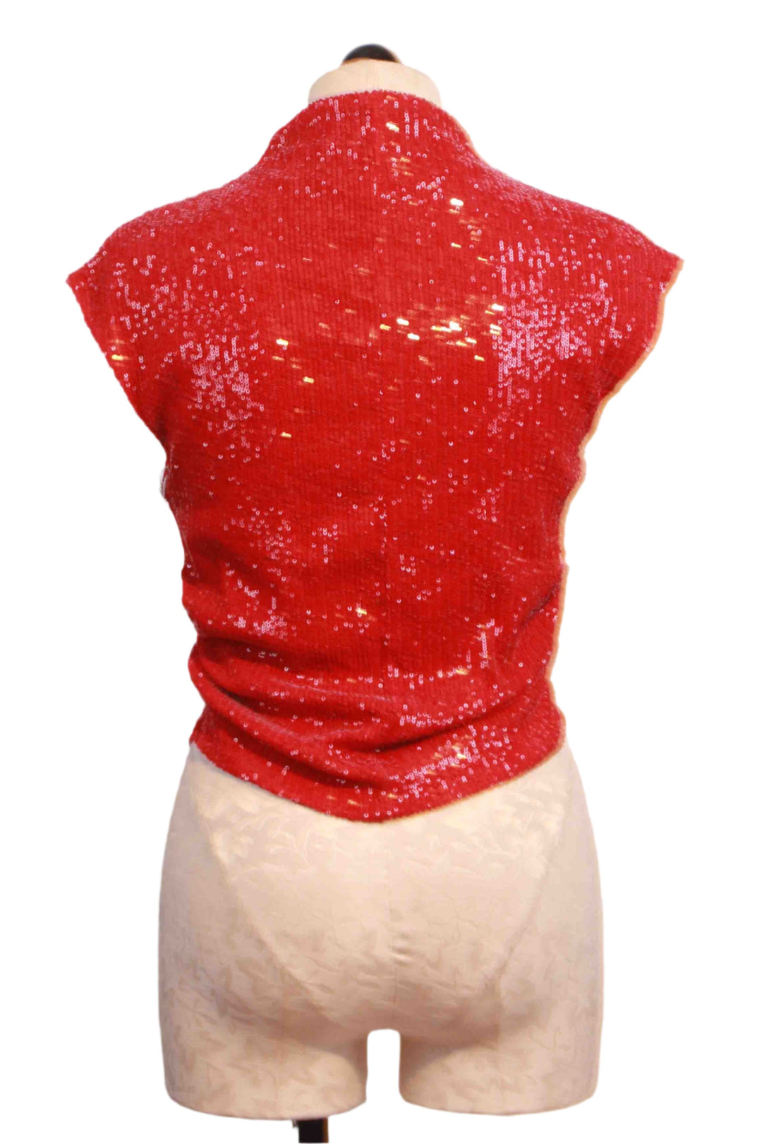 back view of Gwennie Sequin Mesh Tank by Fifteen Twenty