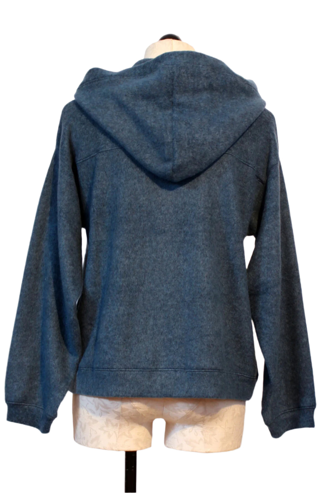 back view of Lagoon colored Plush Button Front Hoodie by Nally and Millie