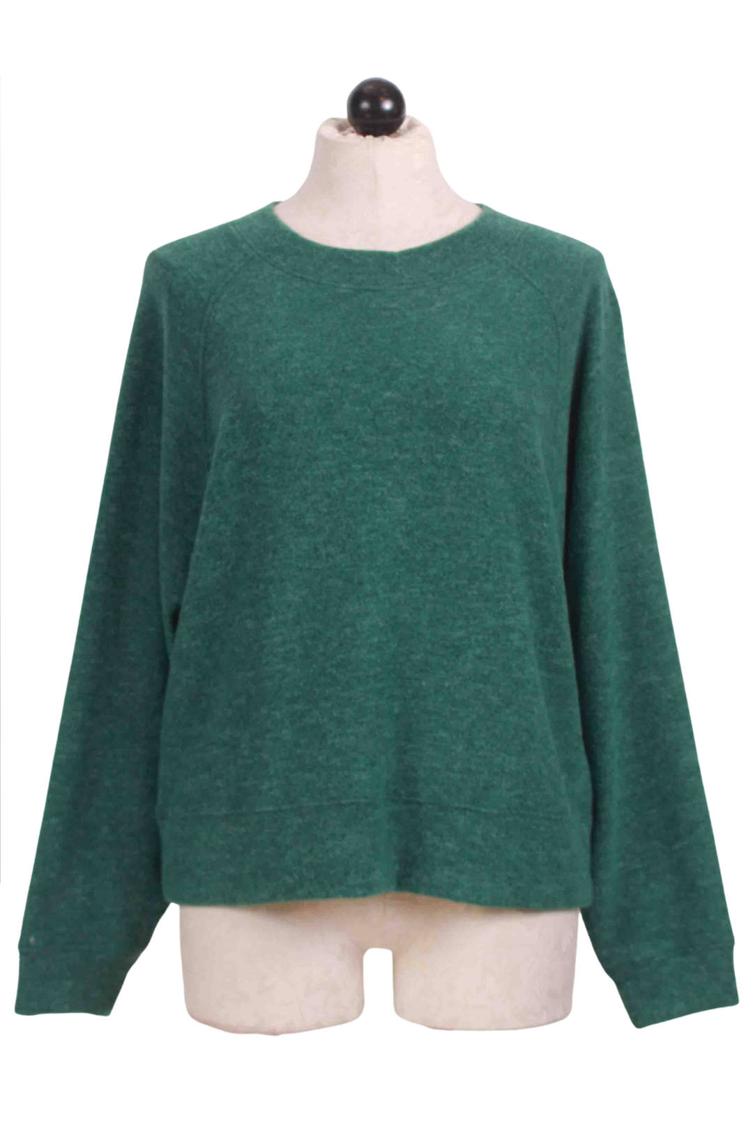 Evergreen Brushed Long Sleeve Crew Neck Top by Nally and Millie