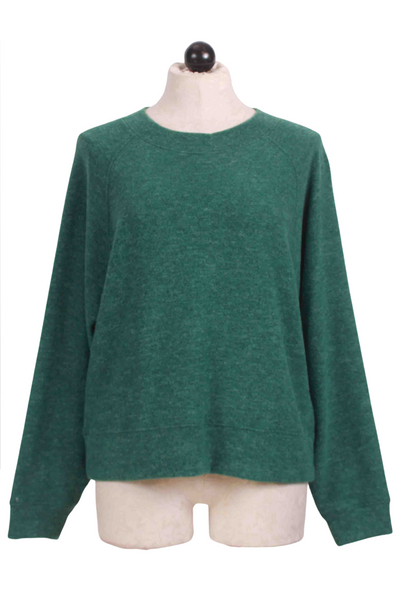 Evergreen Brushed Long Sleeve Crew Neck Top by Nally and Millie
