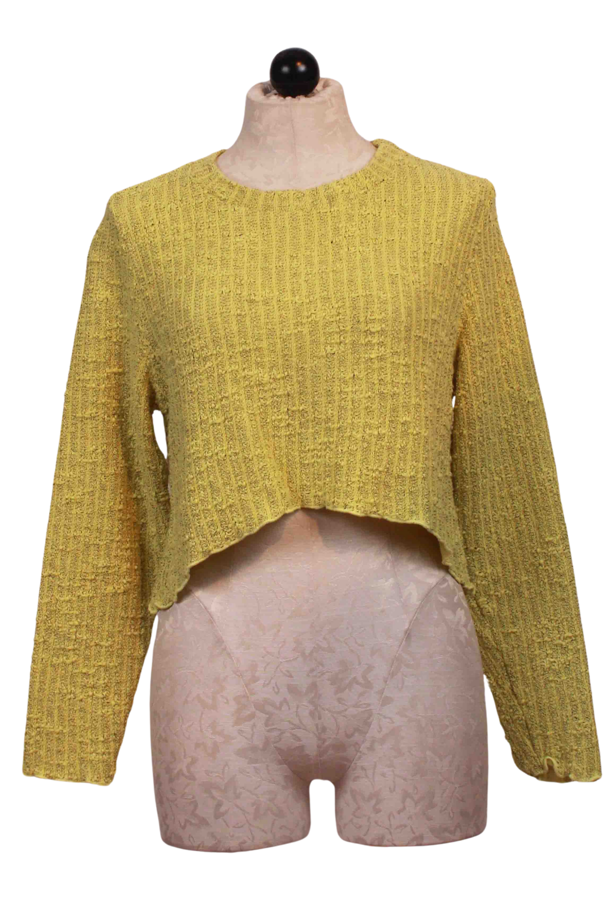 Sunburst Curved Crop Sweater by Cut Loose