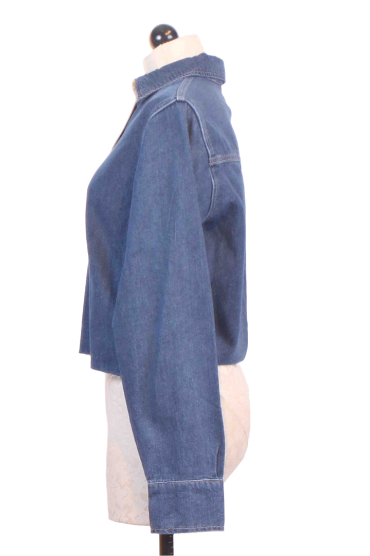 side view of Cropped Montauk Long Sleeve Denim Shirt by DL1961