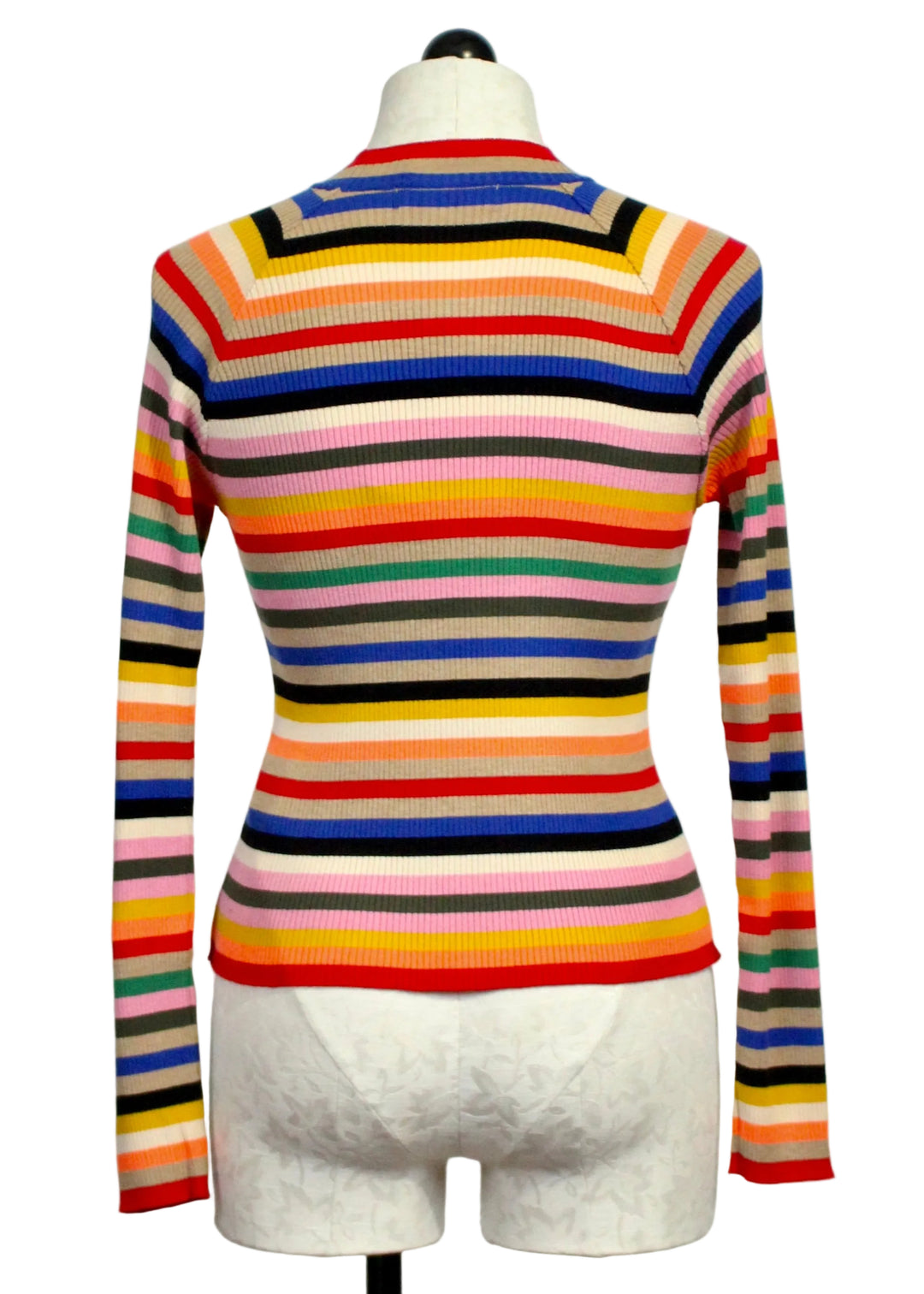 Back view of Rainbow Striped Sweater by Aldo Martins