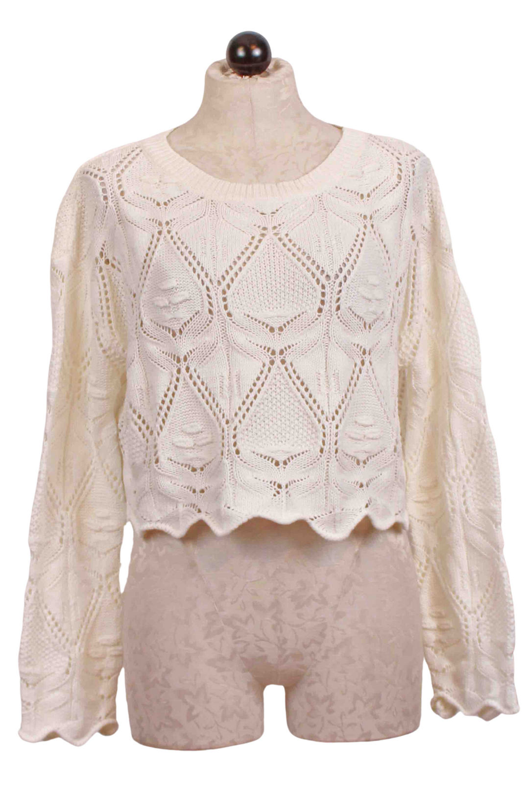 off white Scalloped Hem Pointelle Cropped Sweater by Apricot