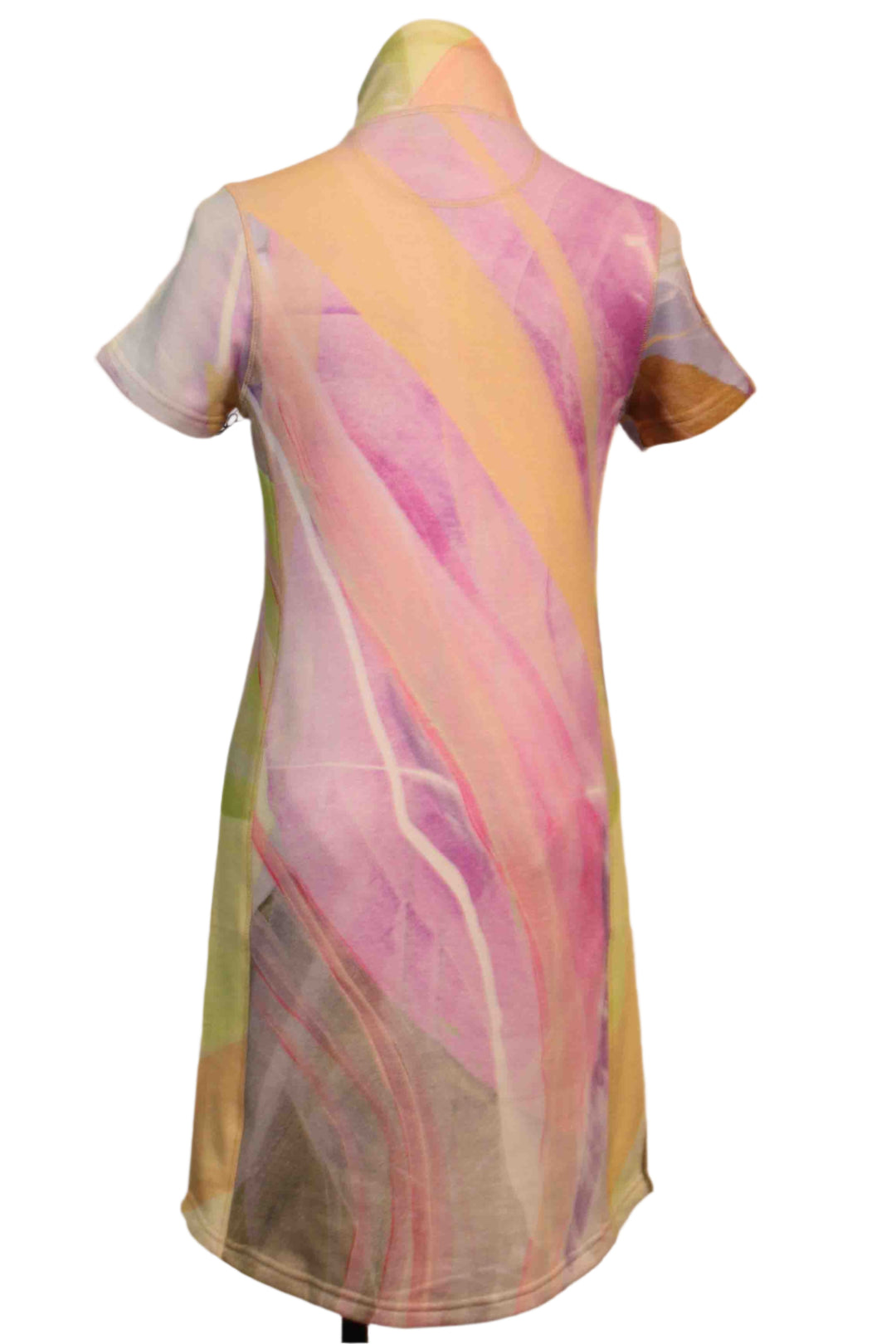 back view of Short Sleeve Bird of Paradise Pullover Weekender Dress by Claire Desjardins