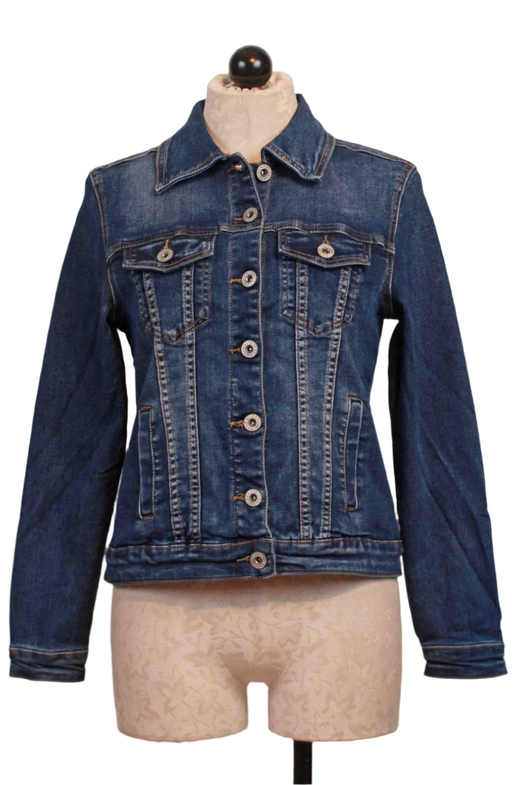 Blue Classic Style Jean Jacket by Alison Sheri