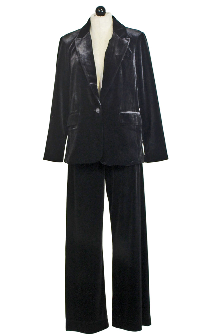 Black Lizzy Single Button Velvet Blazer by Velvet Heart paired with the matching Velvet Bates Pants