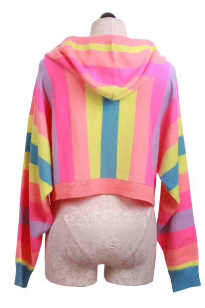 back view of Cropped Rainbow-Striped Cali Hoodie by Crush