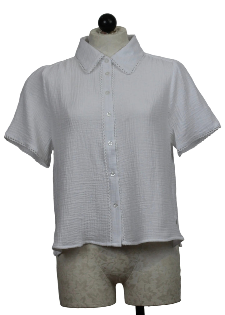 White Cotton Nadette Blouse by Velvet Heart 