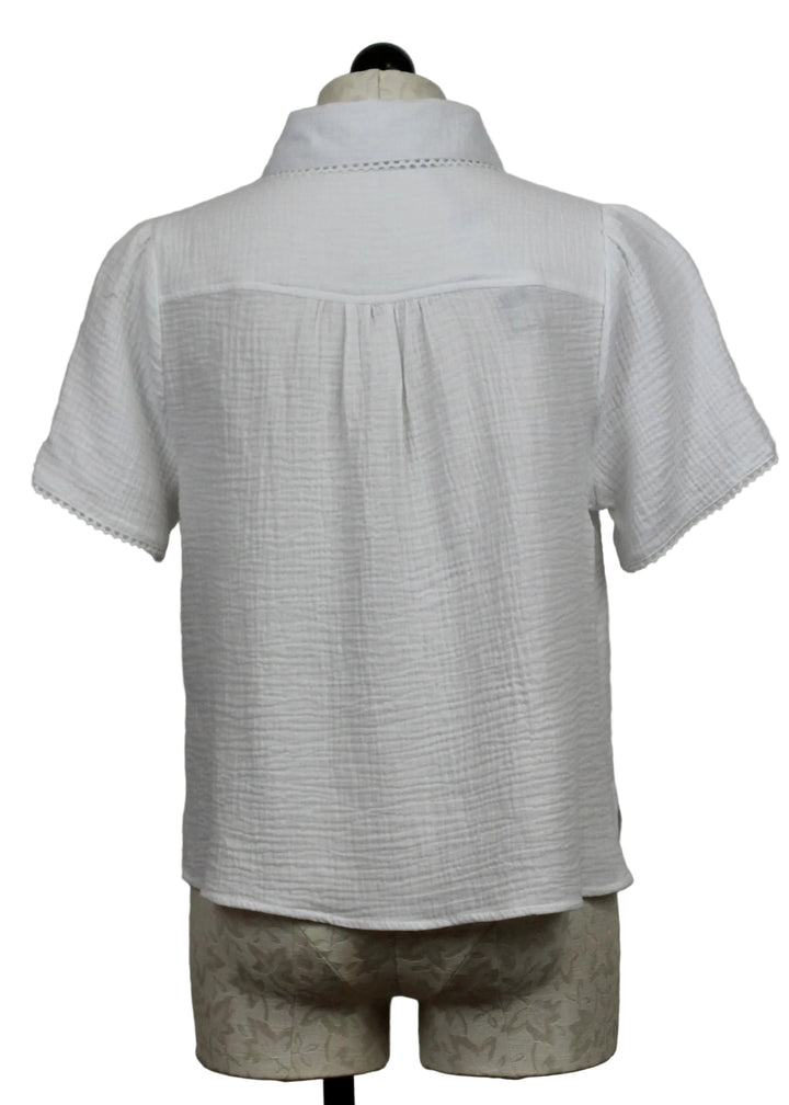 back view of White Cotton Nadette Blouse by Velvet Heart 