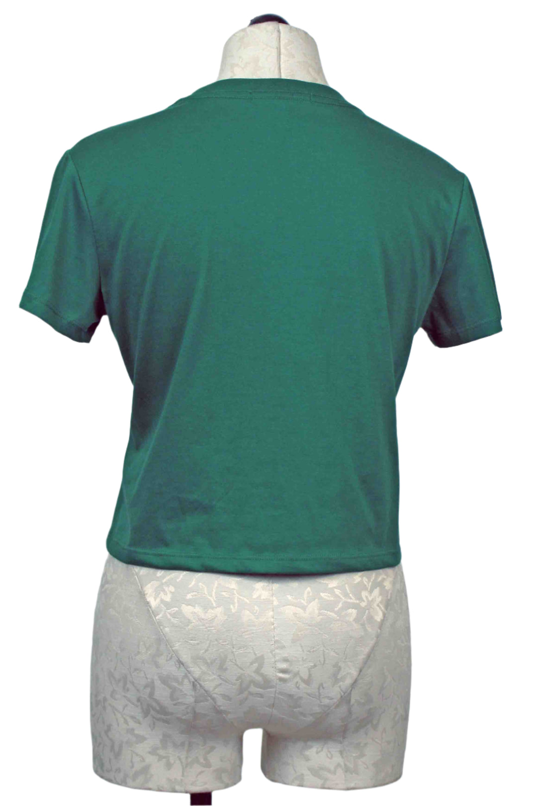 back view of  Emerald with White Cropped Collegiate Tee by Favorite Daughter 