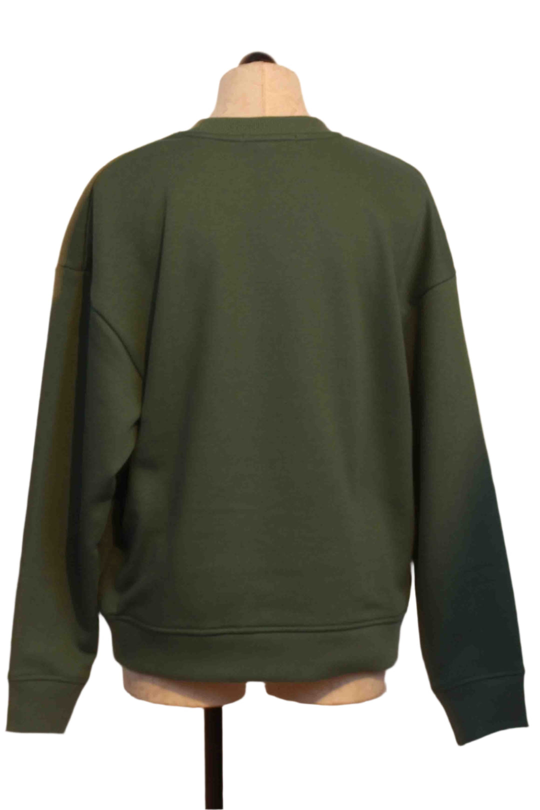 back view of  Evergreen Collegiate Sweatshirt by Favorite Daughter 