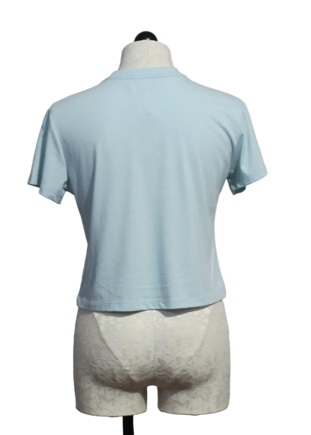 back view of Baby Blue Cropped Collegiate Tee by Favorite Daughter 