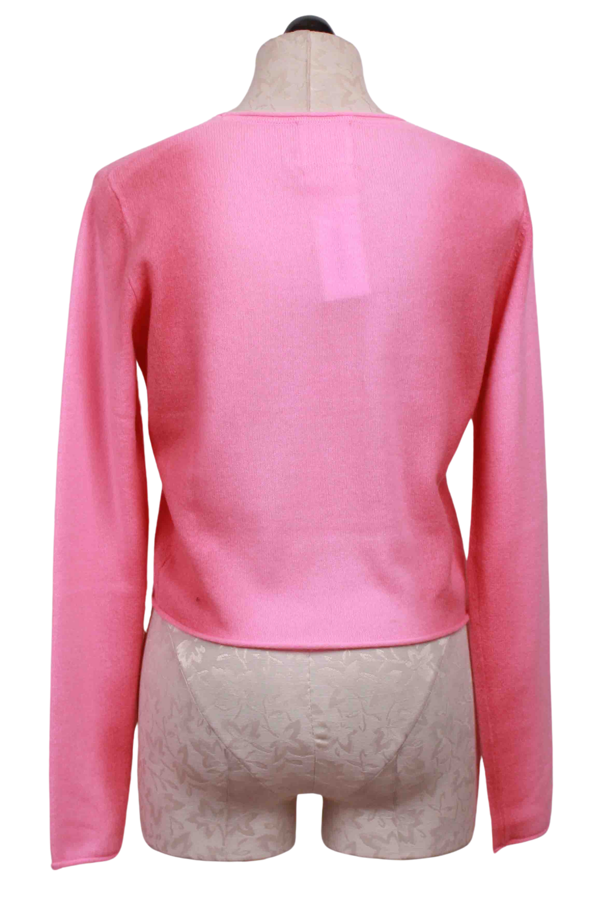 back view of Lollipop and Camellia Rose Hailey Gradient Crew Neck Sweater by Crush
