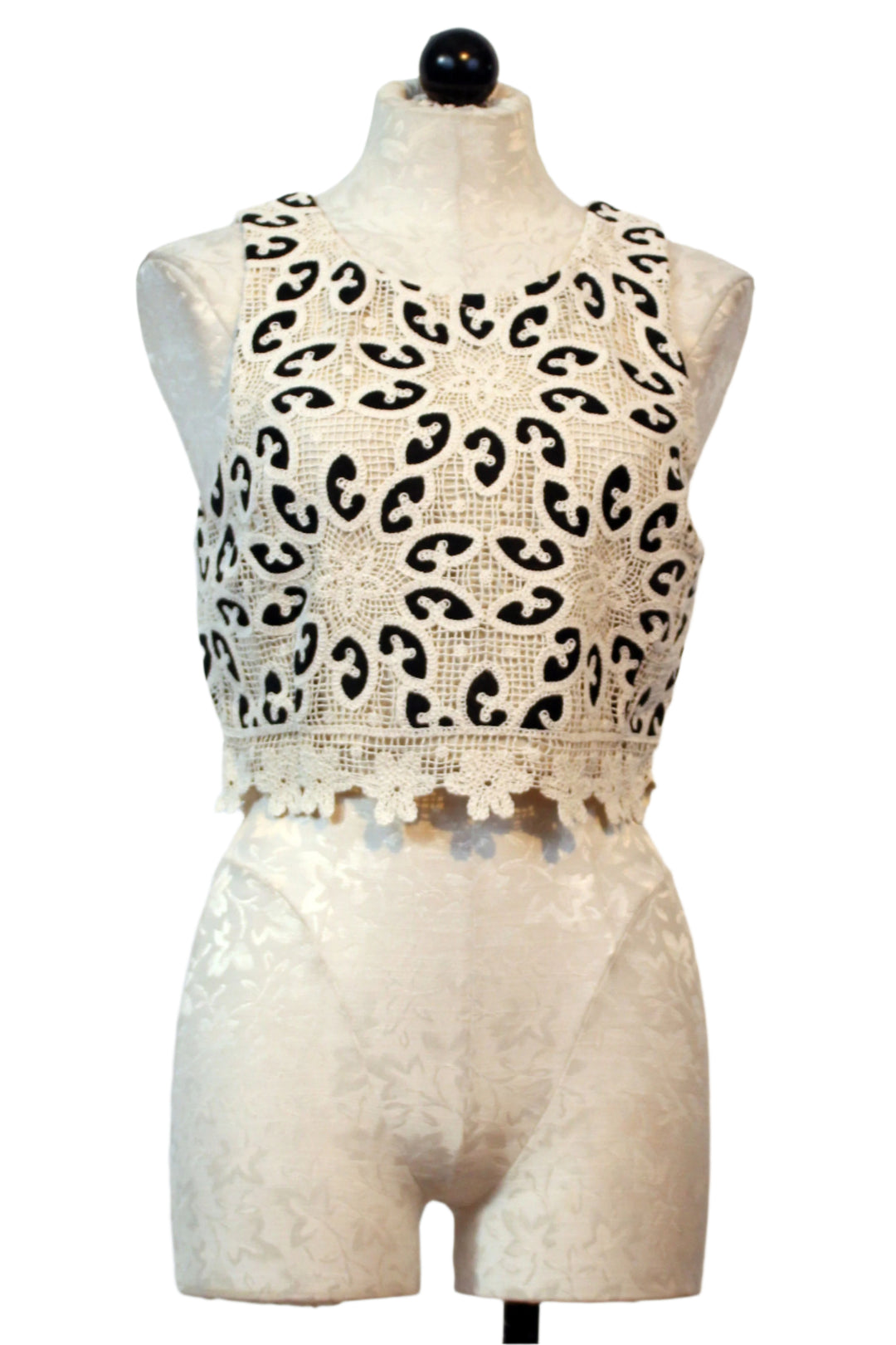 Ivory Lace with Black Cropped Isabelle Top by Caballero