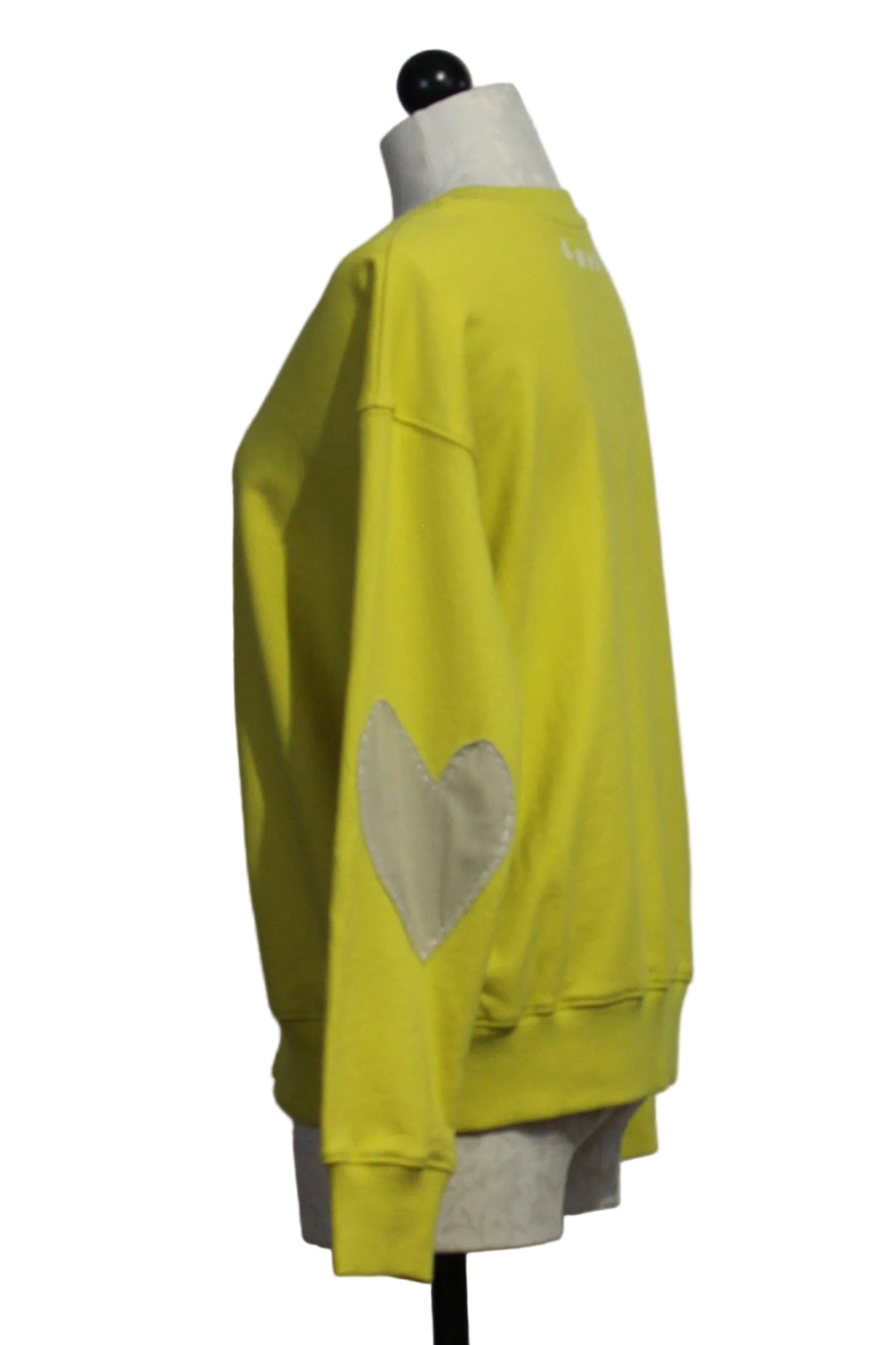 side view of Cactus Ex-Boyfriend Patchwork Sweatshirt by Kerri Rosenthal 