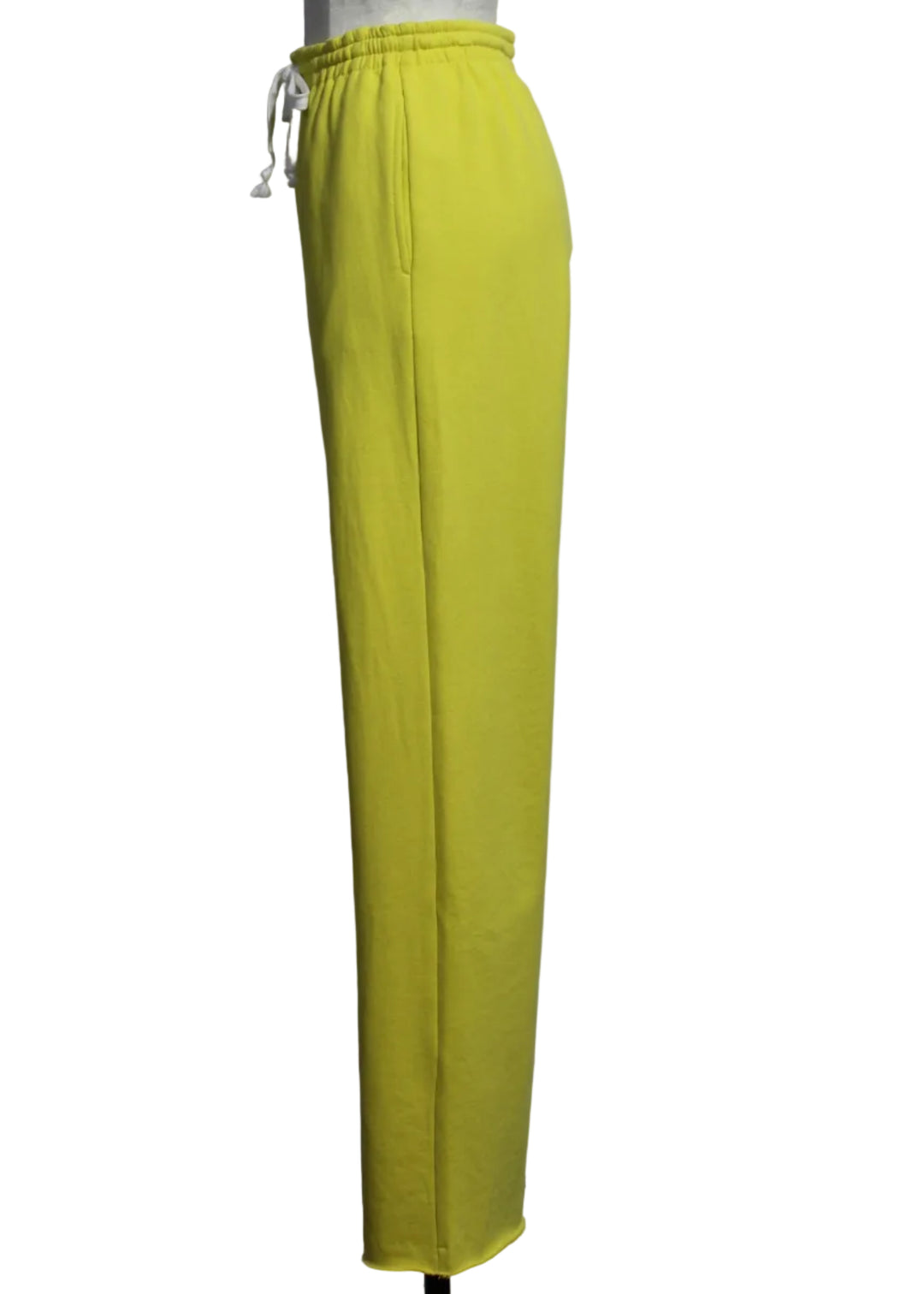 side view of Cactus Weekend Barb Sweatpants by Kerri Rosenthal 