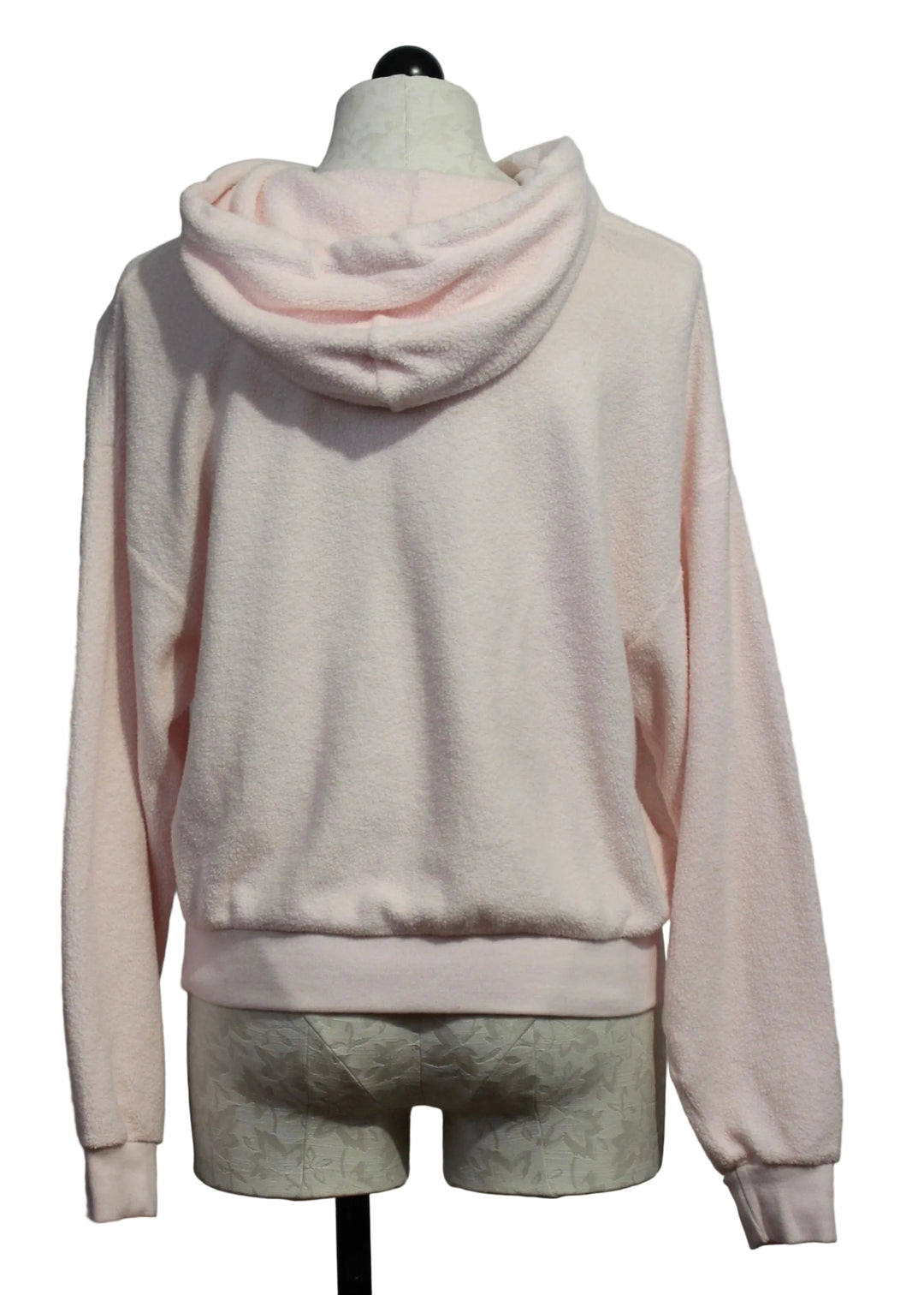 back view of Hazel Brushed Terry Hoodie by Asher in Salsa Rosa