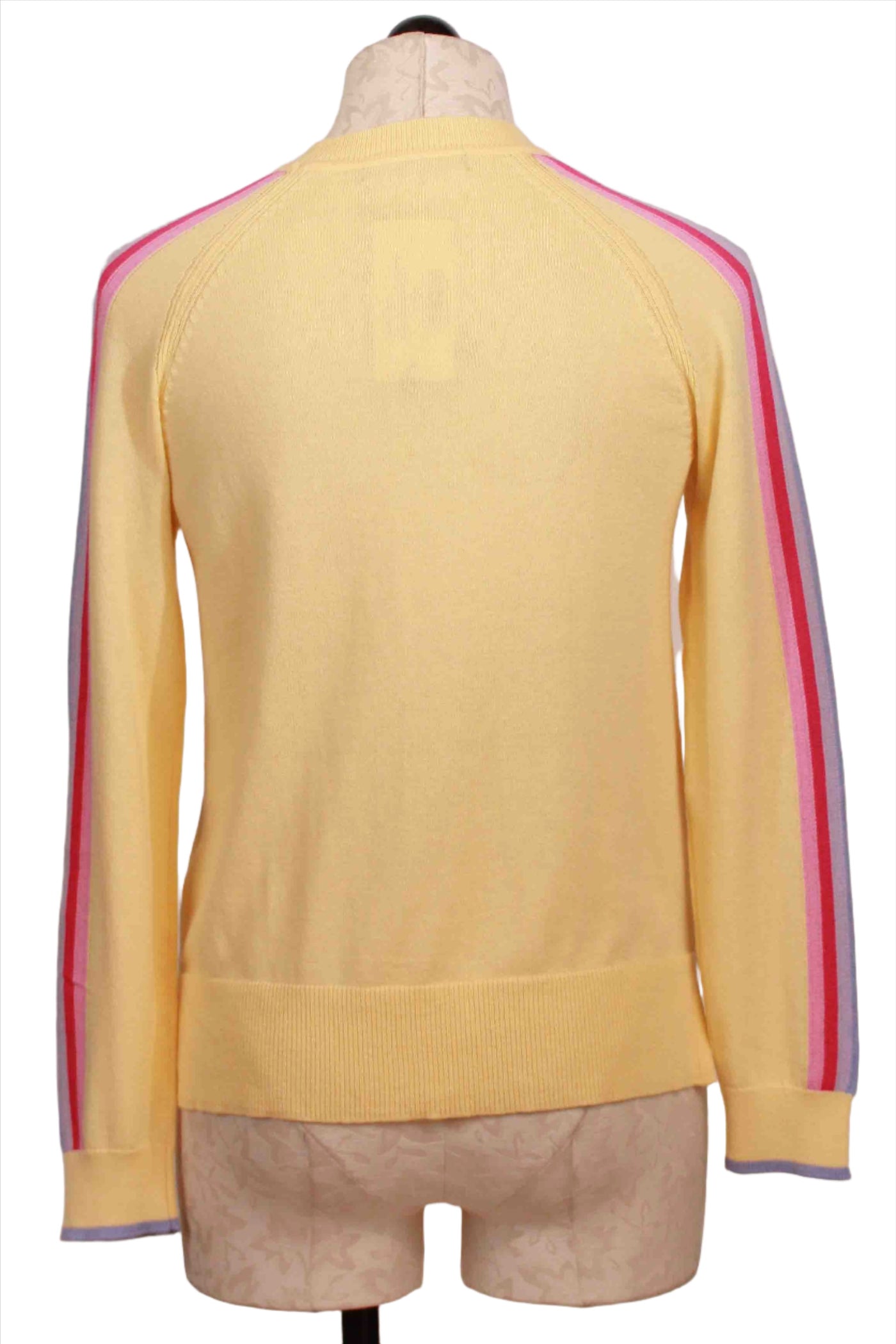 back view of Blondie colored Runaway Stripe Raglan Sleeve Sweater by Alashan Cashmere