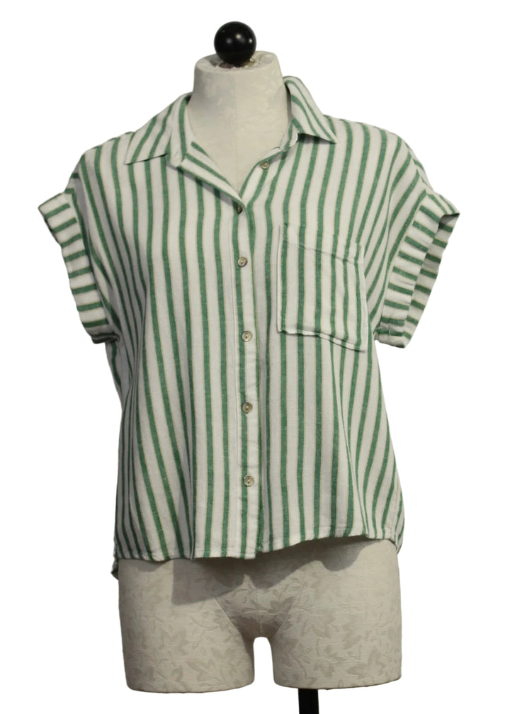 The Short Sleeve Striped Kirsty Blouse by Velvet Heart in the Green Foliage color