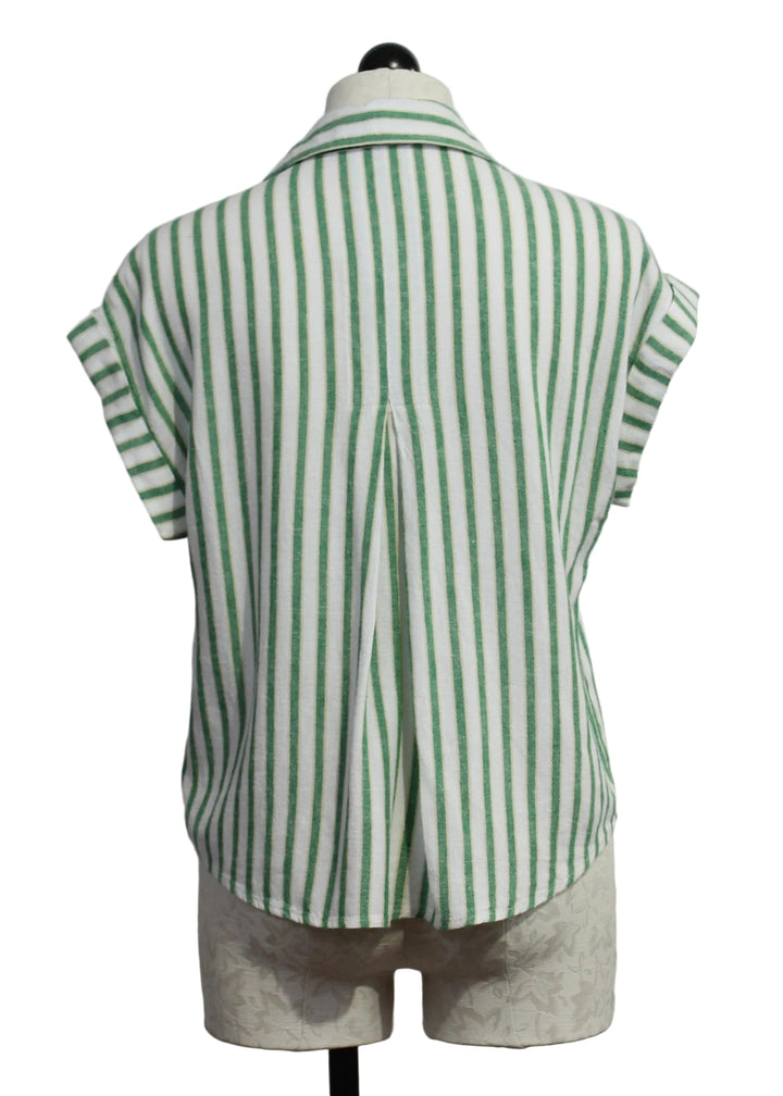 back view of The Short Sleeve Striped Kirsty Blouse by Velvet Heart in the Green Foliage color