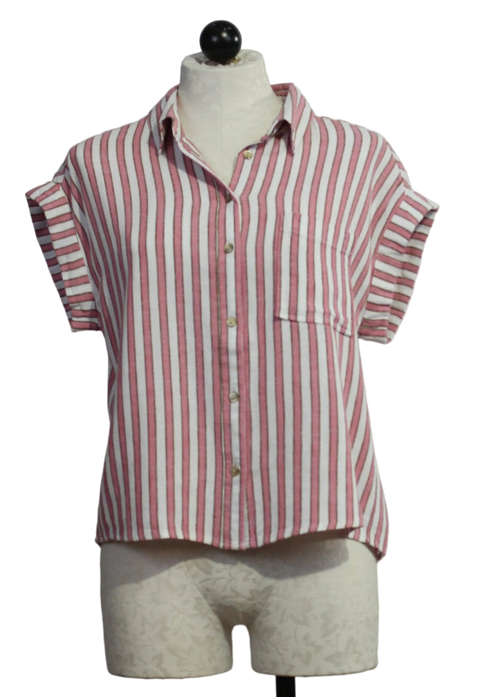 The Short Sleeve Striped Kirsty Blouse by Velvet Heart in the Pink Cacti Stripe color