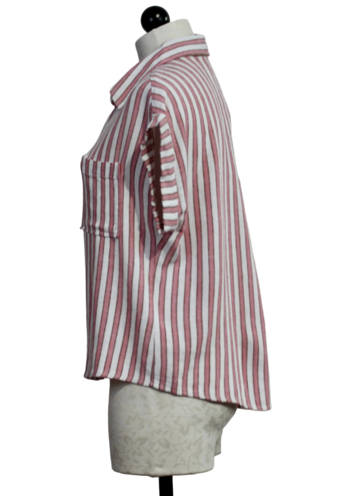 side view of The Short Sleeve Striped Kirsty Blouse by Velvet Heart in the Pink Cacti Stripe color