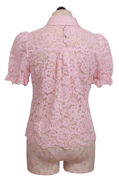 back view of Ballet Slipper pink short sleeve Mina Lace Shirt by Generation Love