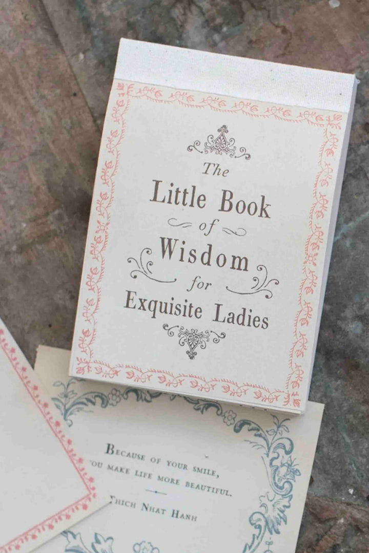 detail of  Little Book Wisdom for Exquisite Ladies by Sugarboo Designs 