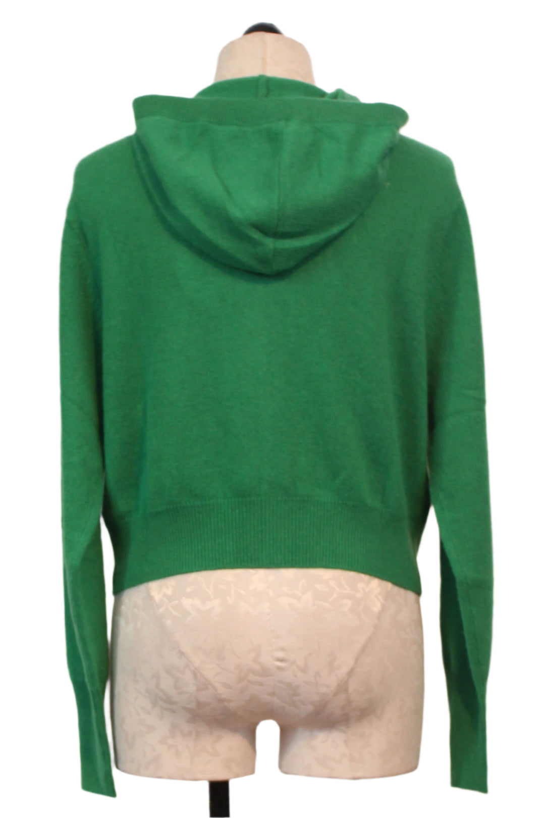 back view of Rio Cropped Hoodie by Colorush