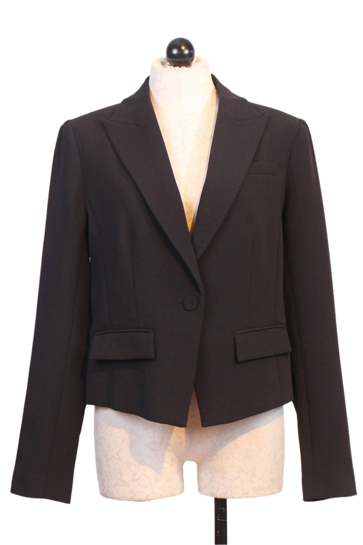 Black The Short Favorite Blazer by Favorite Daughter