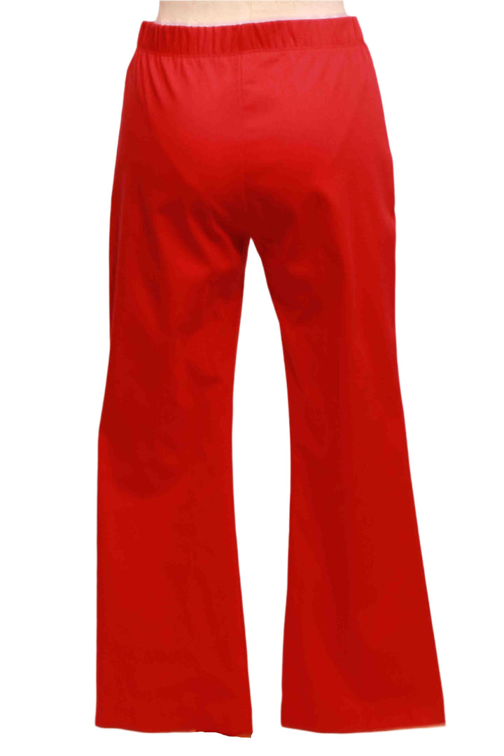 back view of Cherry Sigourney Cropped Flared Pintuck Pants by Fifteen Twenty