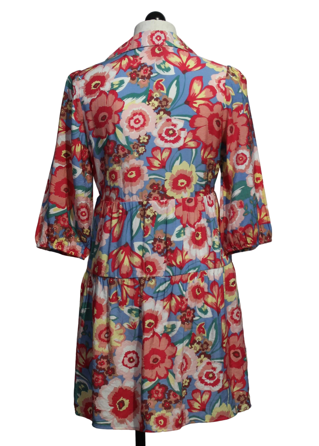 back view of Peri Spring Garden Print Quintessa Spring Garden Dress by Velvet Heart 
