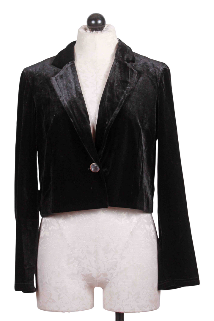 Black Velvet Cropped Briar Jacket by Traffic People