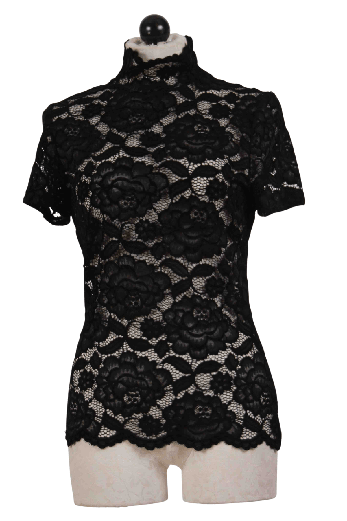 Black Short Sleeve Lace Mock Neck Top by Frank Lyman