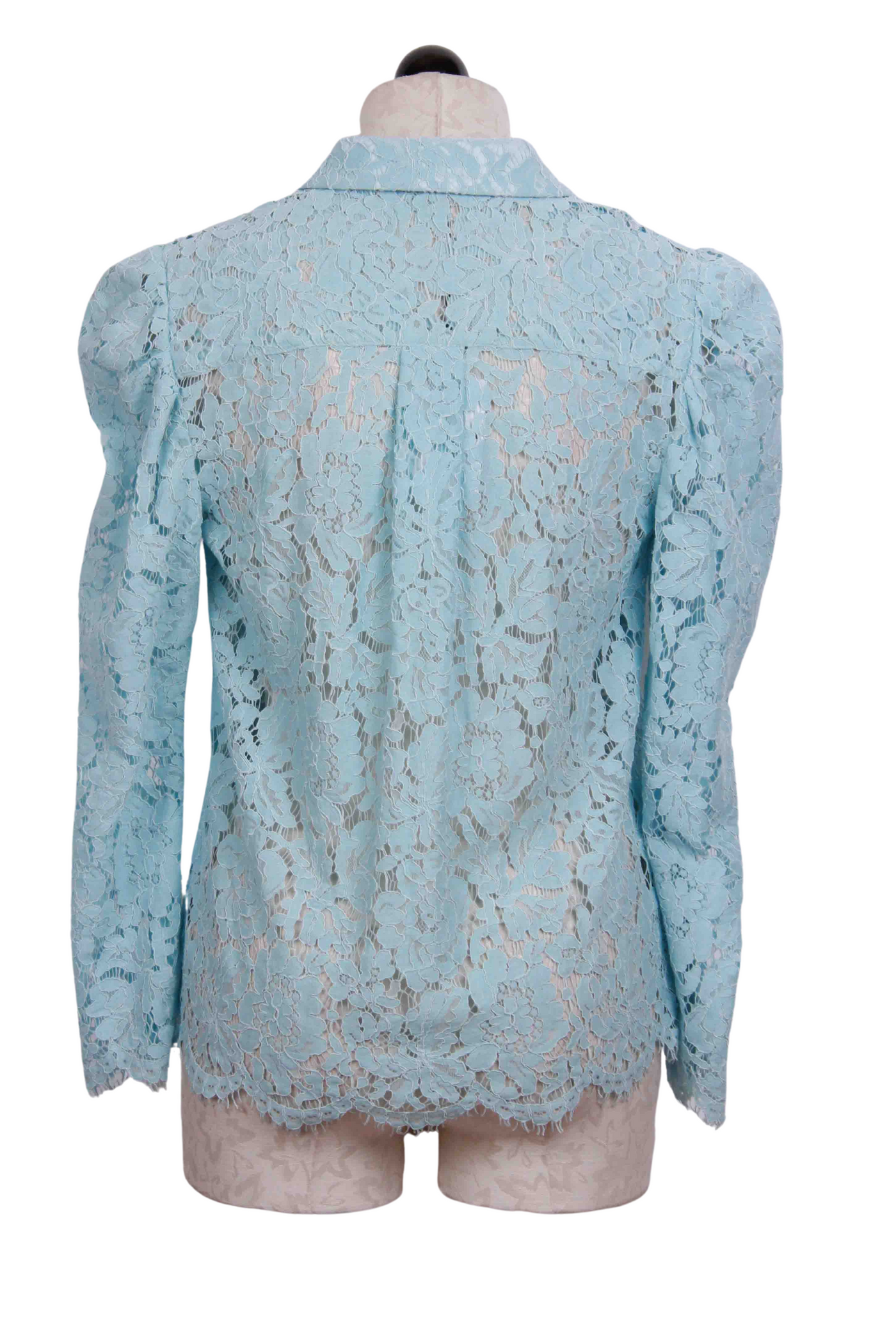 back view of French Blue Erika Lace Blouse by Generation Love