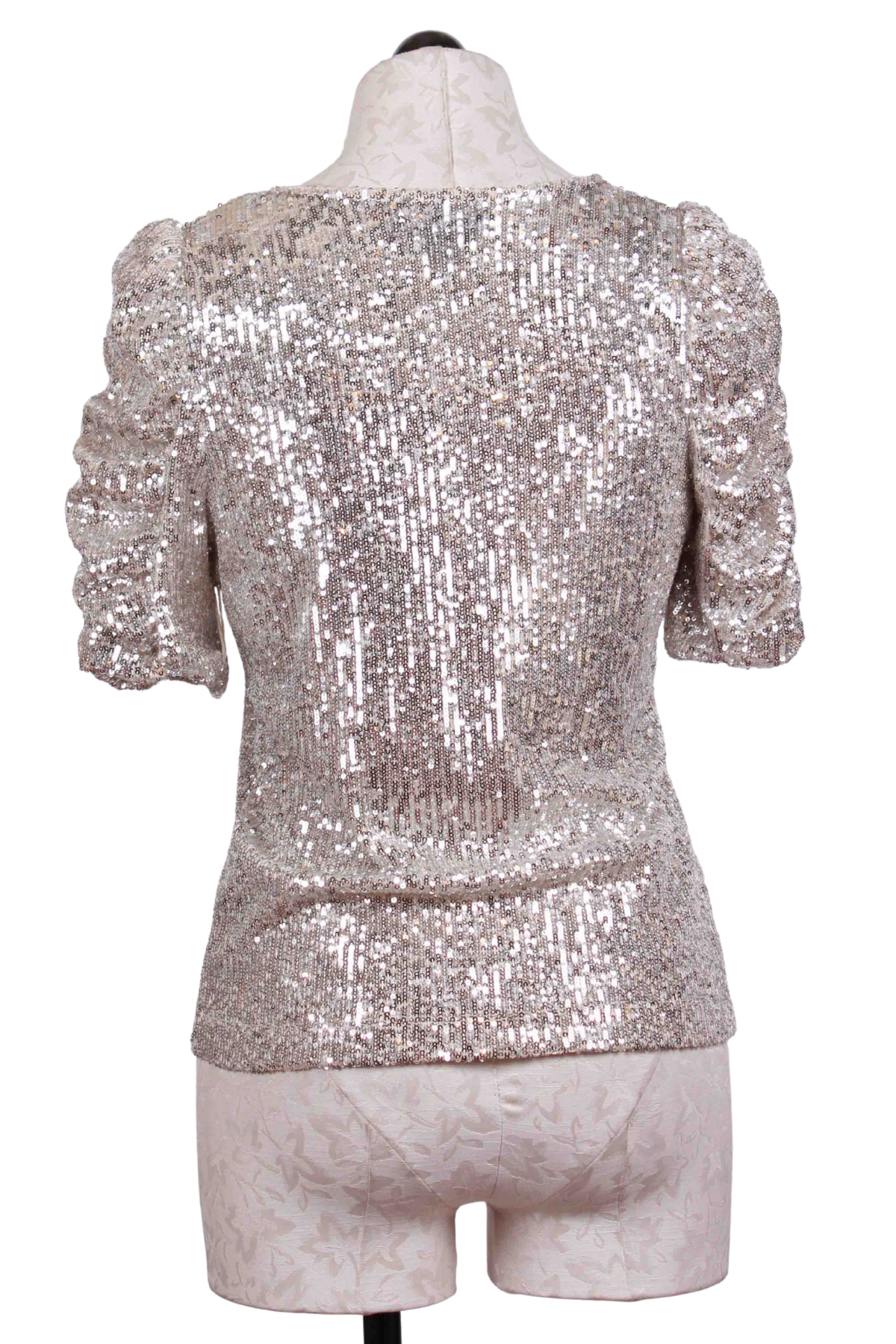 back view of Champagne Sequin Mesh Puff Sleeve Top by Fifteen Twenty