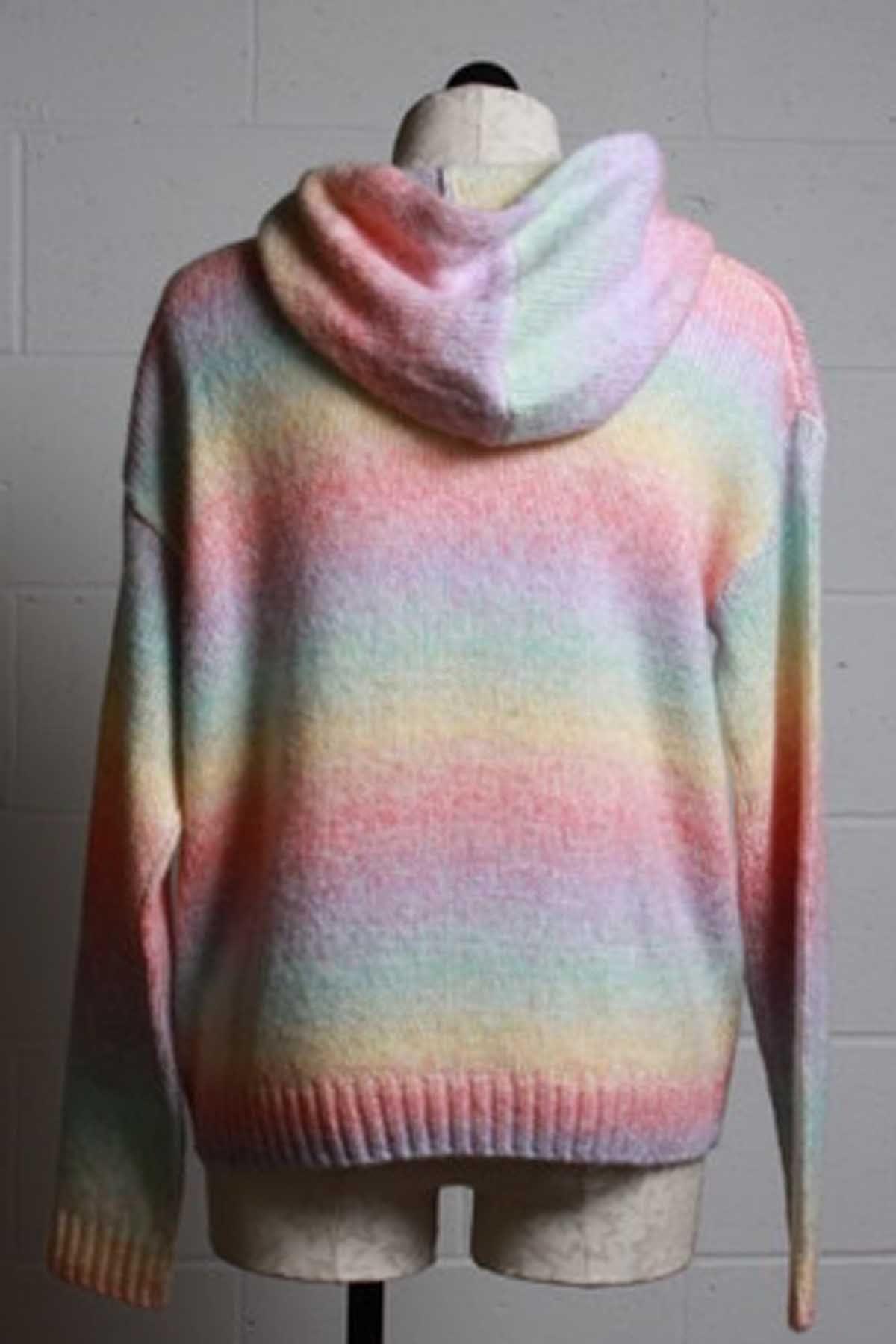 back view of Toby Rainbow Pullover Hoodie Sweater by Generation Love